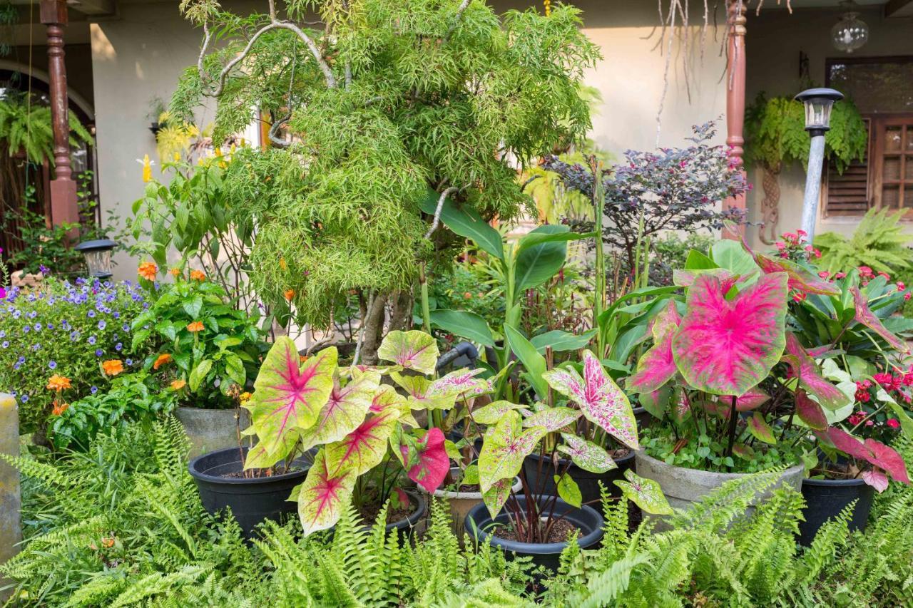 Idor Holidays Sri Jayewardenepura Kotte Luaran gambar